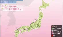 Mappatura di fioritura dei fiori di ciliegio in Giappone (hanami).