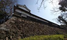 Le château de Fukuoka