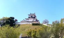 El Castillo de Kakegawa