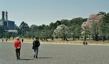 Dans les jardins du palais impérial de Tokyo