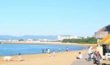 Playa Momochi en Fukuoka
