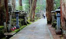 Tōrōdō, la avenida de lámparas de piedra en el cementerio Okuno-in de Kōyasan, Wakayama