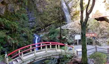 Japan Visitor - kuroyamafalls1.jpg