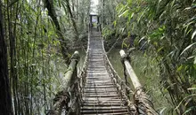 Iya valley vine bridge