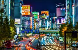 Neon signs of shops on a large road in Shinjuku