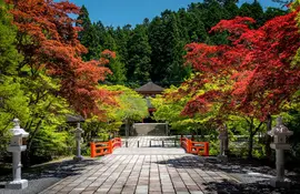 La nature est omniprésente sur la montagne sacrée de Koyasan au Japon