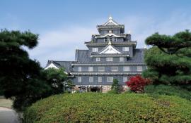 Okayama castle, the Black "castle", close to Korakuen garden
