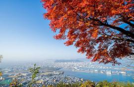 Die Stadt Takamatsu am Binnenmeer mit Blick auf die Insel Naoshima ist einen Besuch wert