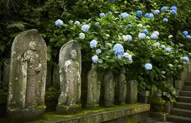 The Hasedera temple, in Kamakura: flower garden, sea view or even an eleven-headed statue!