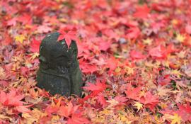 Jizo statue in Enko-ji temple in autumn, Kyoto