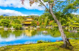 Goldener Pavillon Kinkaku-ji: ein Muss in der alten Hauptstadt von Kyoto