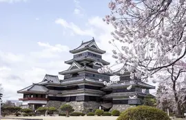 Città di Matsumoto e al centro il castello dei corvi e il suo parco 