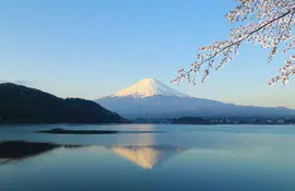 Monte Fuji durante la fioritura dei ciliegi (Sakura)