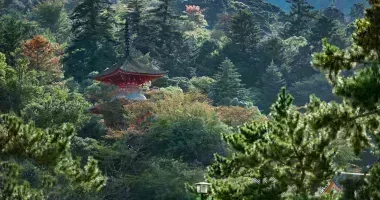 Temple et pagode japonaise perdus dans la forêt de l'île artistique de Naoshima