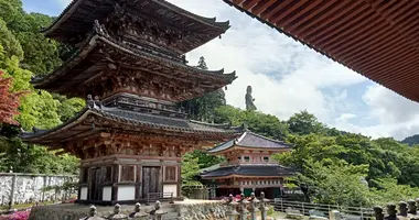 Tsubosaka-dera Temple