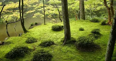 Kokedera Temple