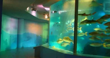 Miyajima Aquarium