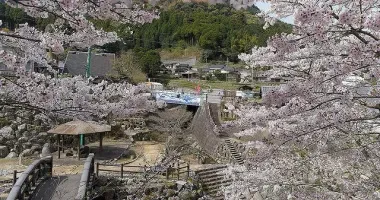 Okawachiyama au moment des cerisiers en fleurs