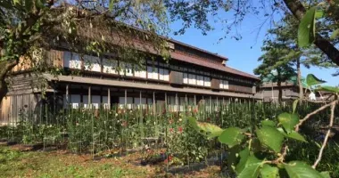Le musée de la soie de Matsugaoka