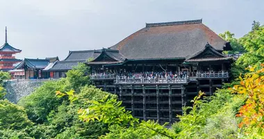 Japan Visitor - higashiyama201911.jpg