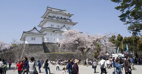 Odawara Castle