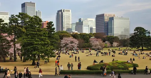 En plein cœur de Tokyo, le jardin impérial est la seule partie accessible au public des jardins de l'Empereur.