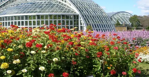 Kyoto Botanical Garden covers 24,000 square meters and houses more than 12,000 different varieties of plants.