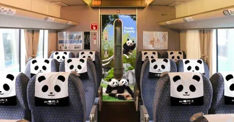 L'intérieur est entièrement décoré sur le thème du panda !