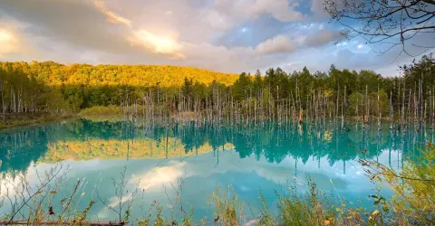 L'étang bleu de Biei à l'automne