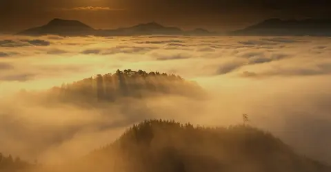 Les forêts sur les chemins de Kumano Kodo, péninsule de Kii