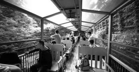 A bord du Sagano Romantic Train