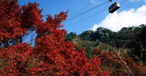 Téléphérique au dessus des gorges de Kankakei (Shikoku)