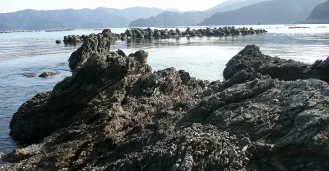 Baie de Wakasa à Obama, Fukui.