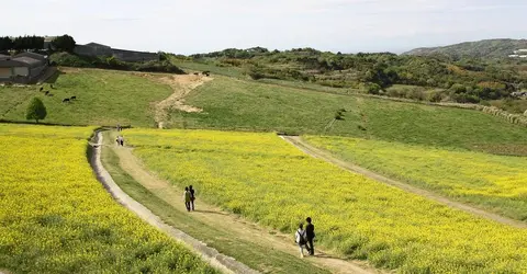 L'île d'Awajishima sur la mer de Seto