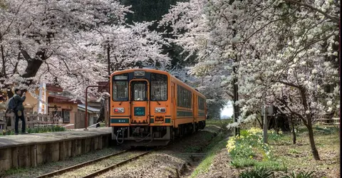 La ligne Tsuguru