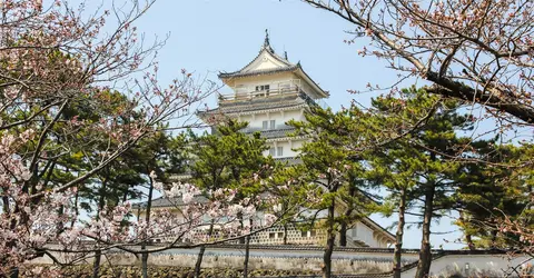 Au printemps, les arbres en fleurs rendent le paysage toujours plus magique