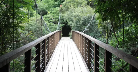 Le pont suspendu