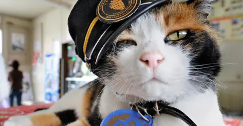 Tama-chan Tama-chan
