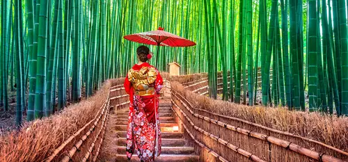 Bosque de bambú en Arashiyama: famoso sitio turístico para visitar en Kioto