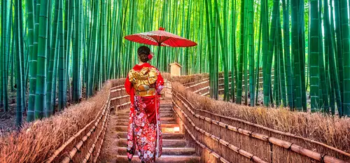 Boschetto di bambù ad Arashiyama: famoso sito turistico da visitare a Kyoto