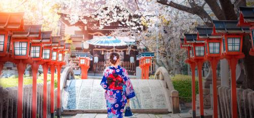 Japonaise en kimono sous les cerisiers en fleurs d'un sanctuaire de Kyoto