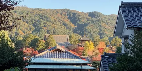 View from Munetada Jinja