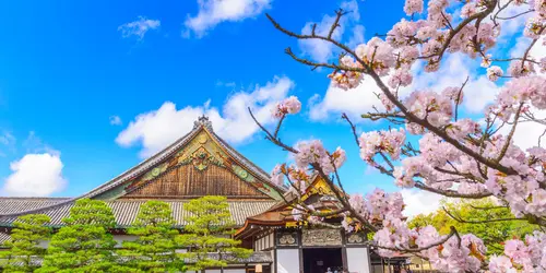Le château de Nijo est un incontournable à visiter durant votre séjour à Kyoto