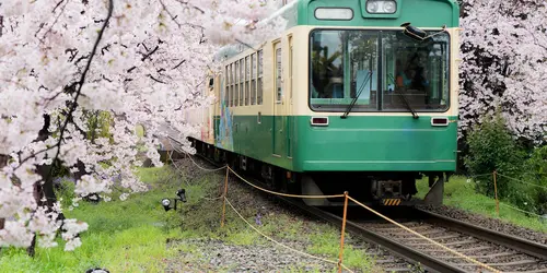 ...Ou encore beaucoup d'autres trains et bus partout au Japon !