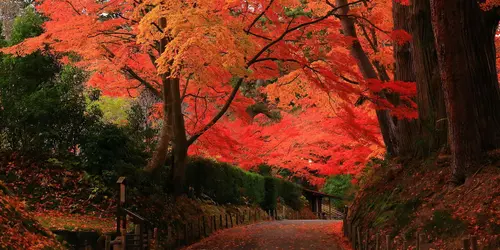 Chuson-ji-Tempel in Hiraizumi - UNESCO-Weltkulturerbe