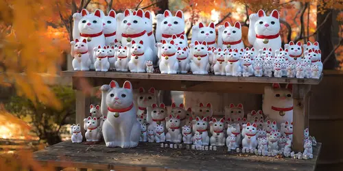 Maneki-neko in Tokyo