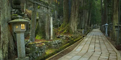 La nécropole d'Okunoin, sur la montagne sacrée de Koyasan