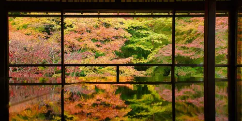 Ruriko-in-Tempel in Kyoto: ein Ort, an dem Sie die herrlichen Herbstfarben erleben können