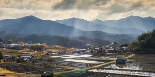 Campagne japonaise dans la région des Alpes Japonaises
