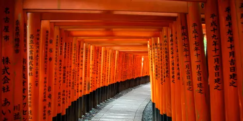 Fushimi Inari 